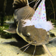 Image for article titled Enter holiday hell with Wikipedia's extensive list of official festive occasions